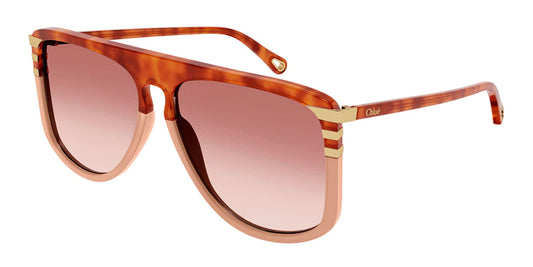 Chloé | Lunettes de soleil | CH0104S - 2 couleurs
