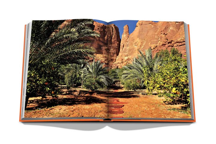 Assouline | Livre Alula Ever