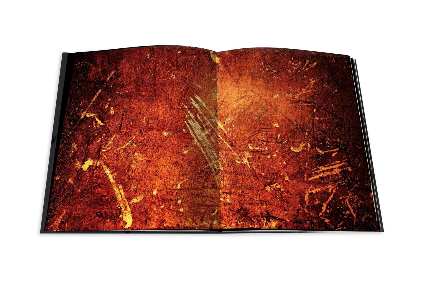 Assouline | Livre Le Cabinet de Curiosités