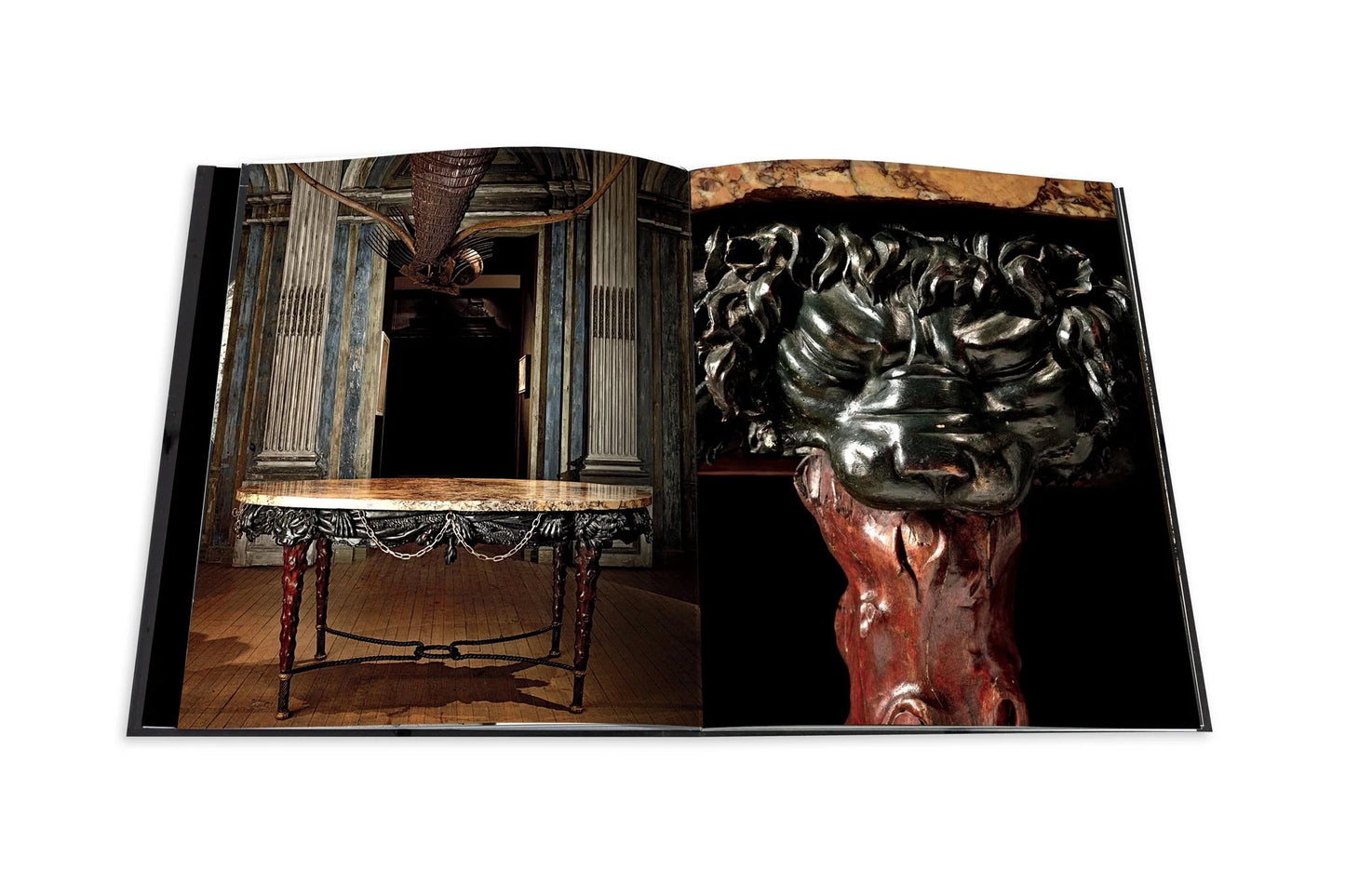 Assouline | Livre Le Cabinet de Curiosités