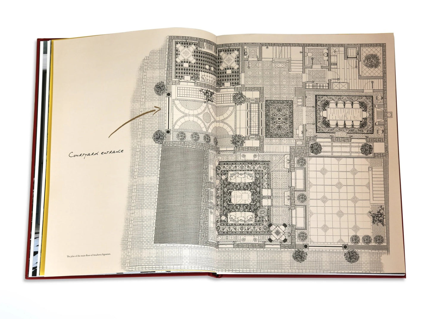 Book Living Next to Delphi - Assouline