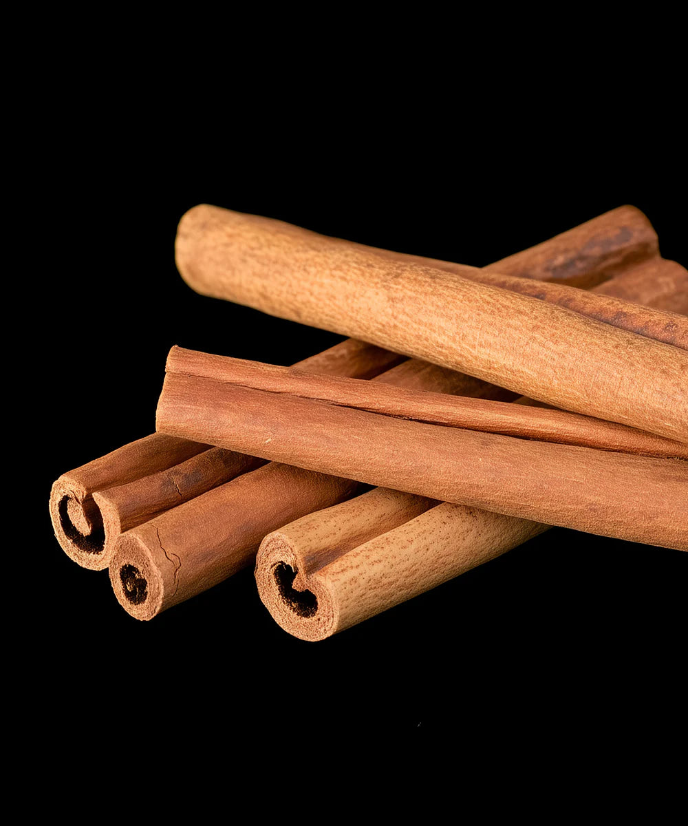 Atelier Rebul | No.5 Elixir Artisanal – Extrait de parfum 100 ml