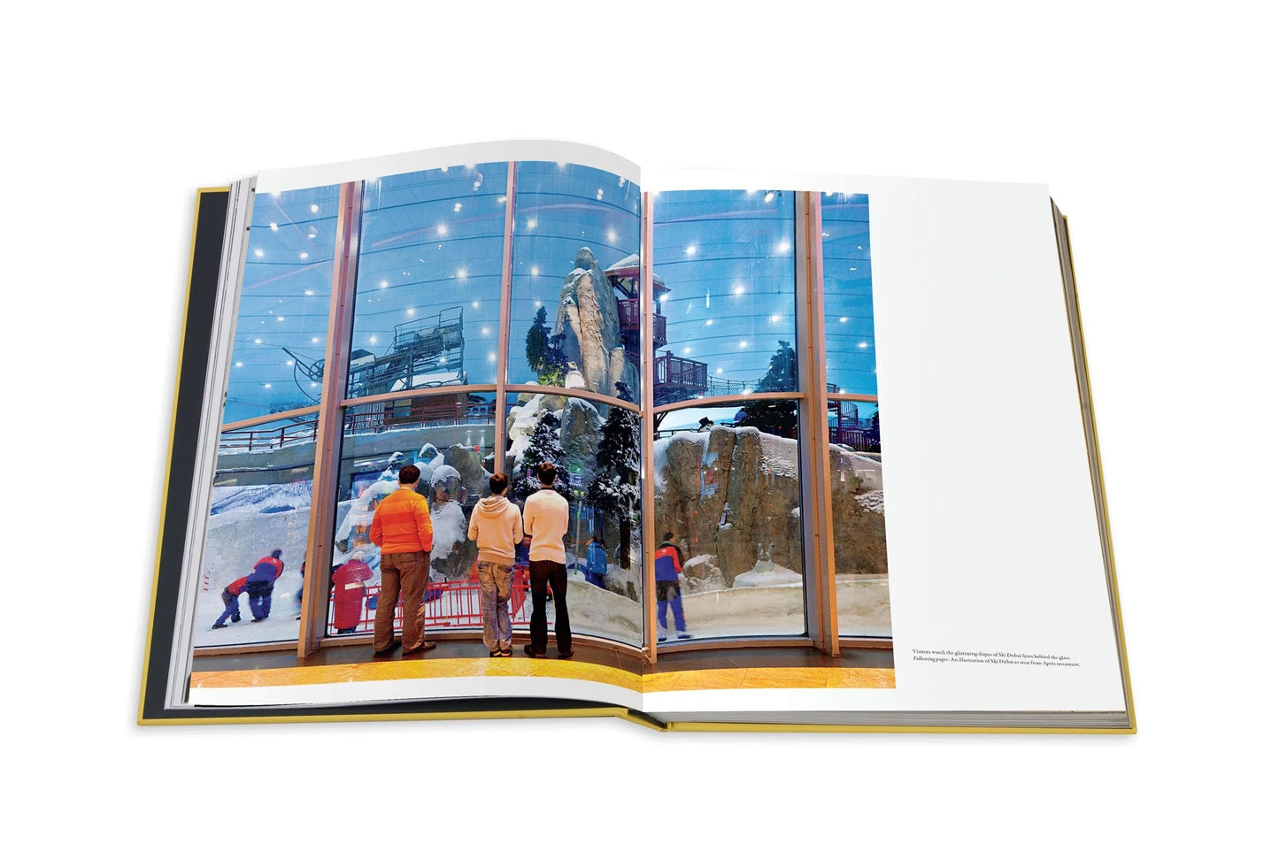 Book Mall of The Emirates - Assouline