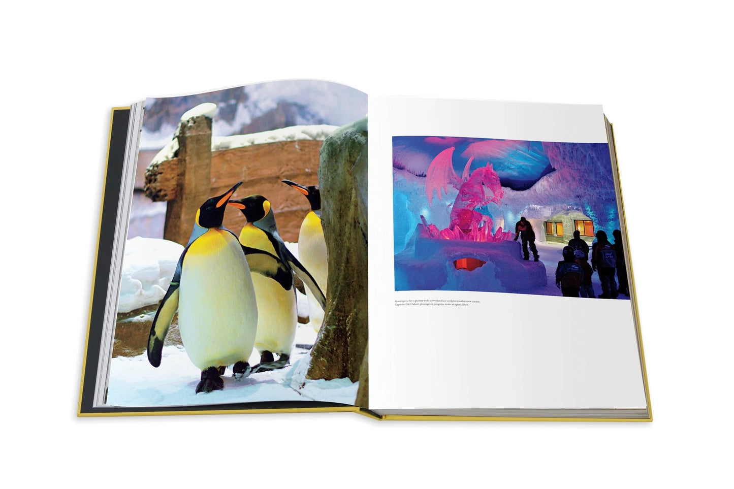 Book Mall of The Emirates - Assouline