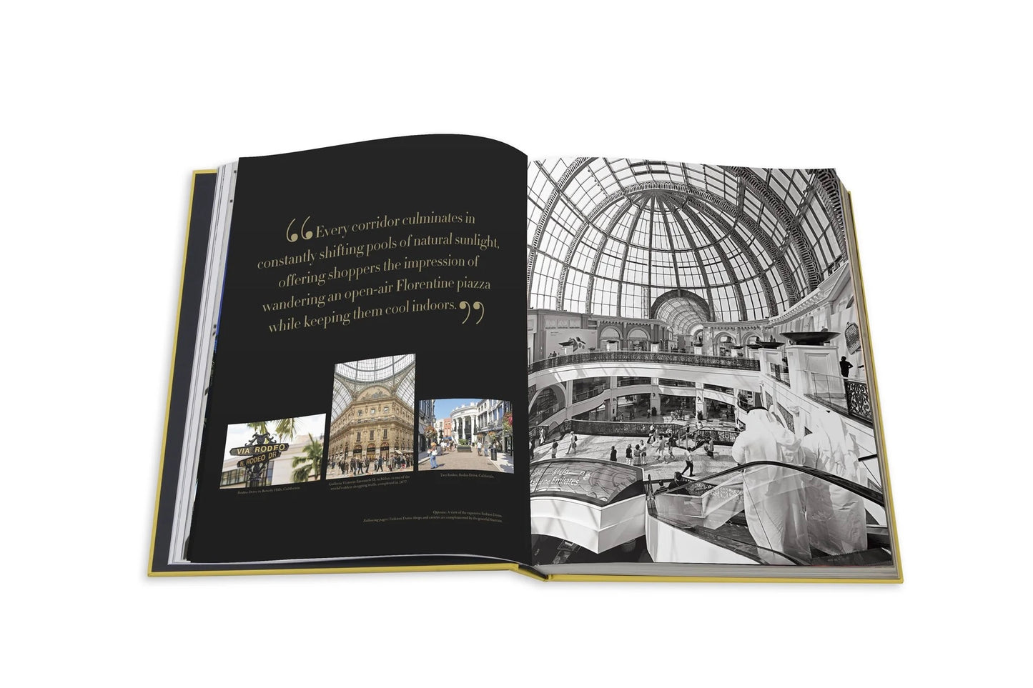 Book Mall of The Emirates - Assouline