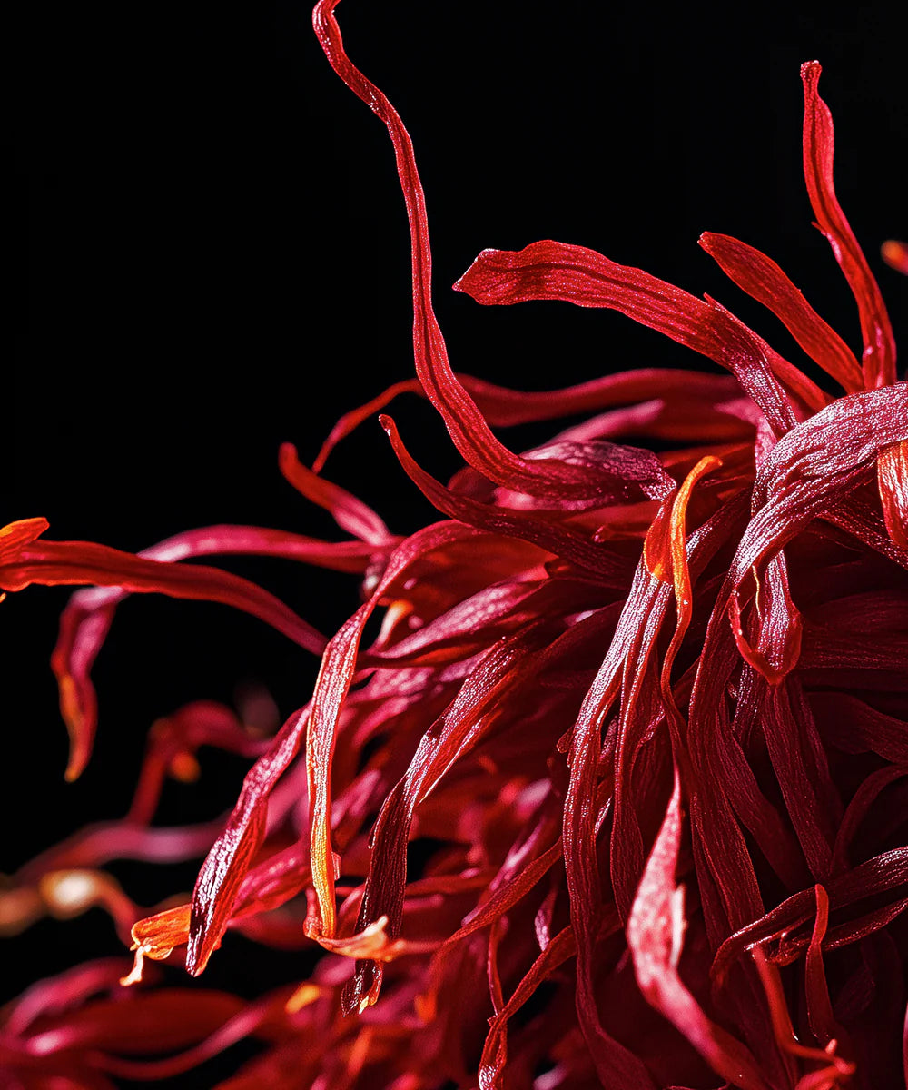 Atelier Rebul | ''No. 94'' EDP 100 ml