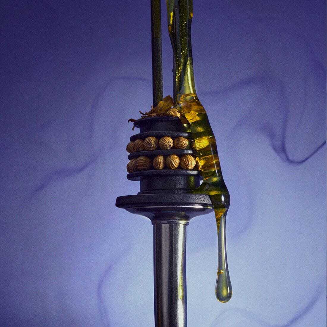 Bon Parfumeur | Diffuseur 02 Graines de coriandre, Miel et Feuilles de Tabac 200 ml