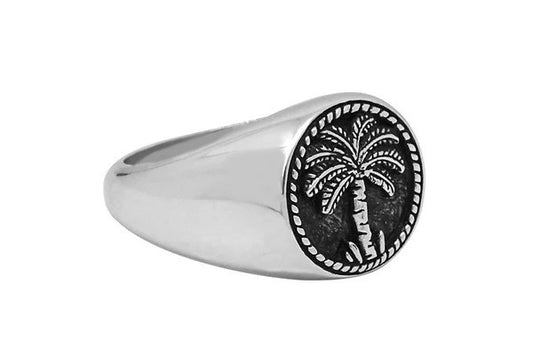 Kemmi Silver arrow ring