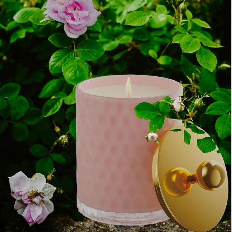 MODESTA | Bougie "Fleur Eternelle"