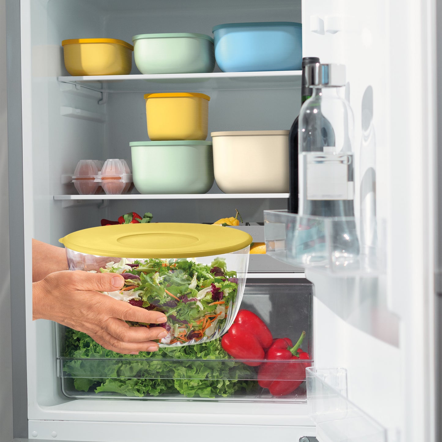 GUZZINI | ESSOREUSE À SALADE