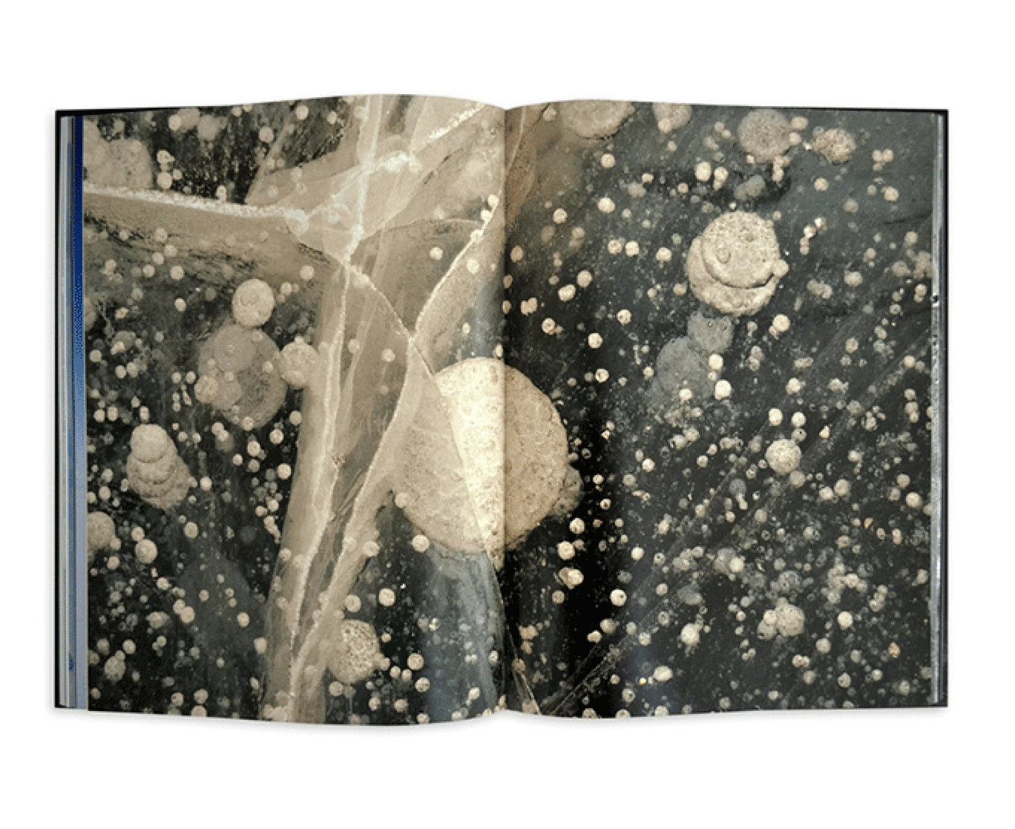 Assouline | Livre Gondwana