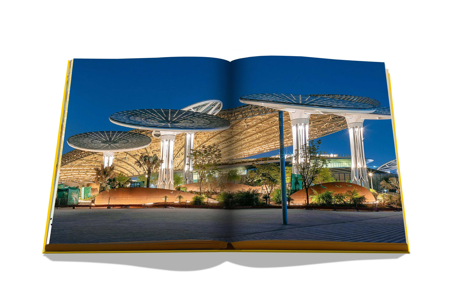 Livre Expo 2020 Dubai : Catalog-Site, Themes, Architecture - Assouline