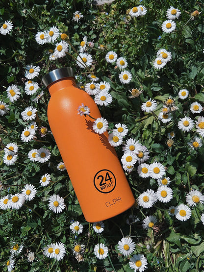 Reusable bottle 24 Bottles - Orange 500 ML 