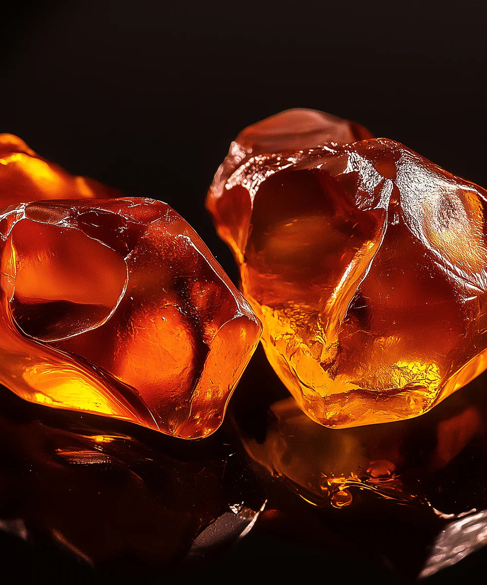 Atelier Rebul | N° 2 Elixir Artisanal – Extrait de parfum 100 ml