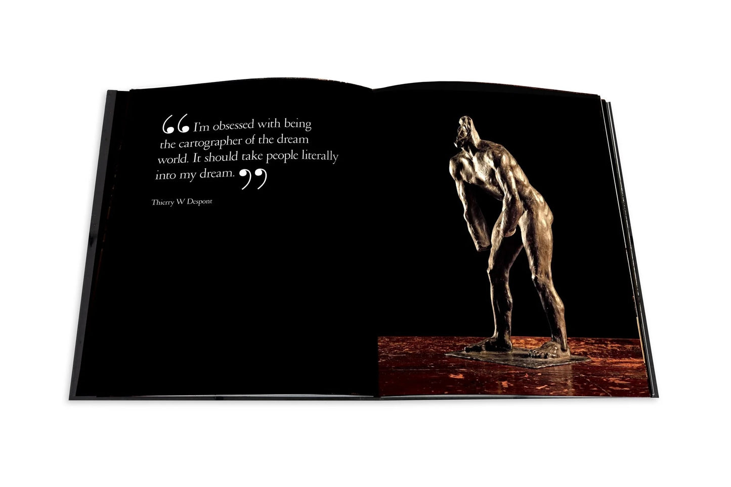 Assouline | Livre Le Cabinet de Curiosités