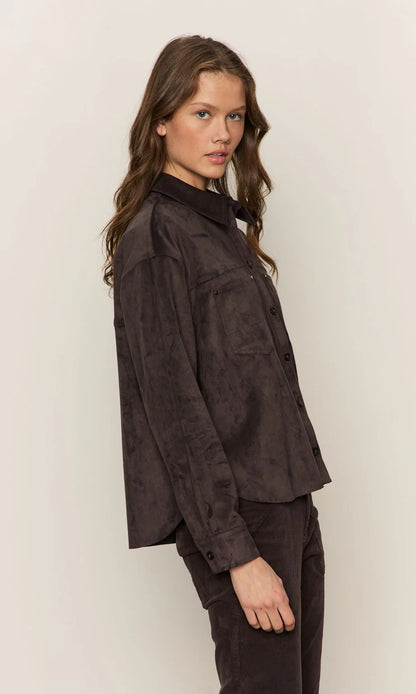 Sanctuary | La chemise Ivy en daim - marron