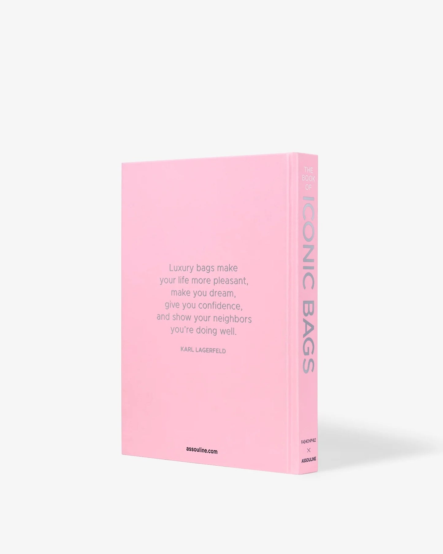 Assouline | Livre Iconic Bags