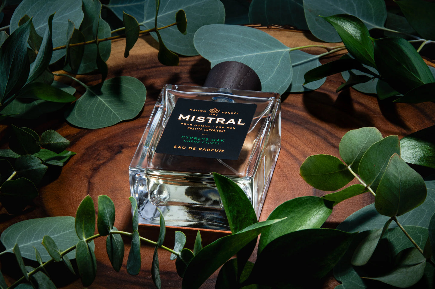 Mistral - Eau de parfum - Chene cypres