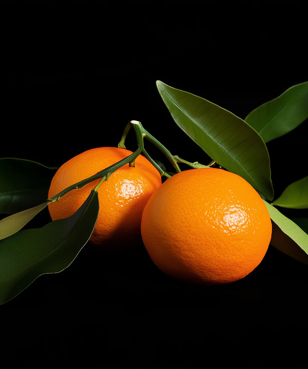 Atelier Rebul | ''Amourose'' EDP 100 ml