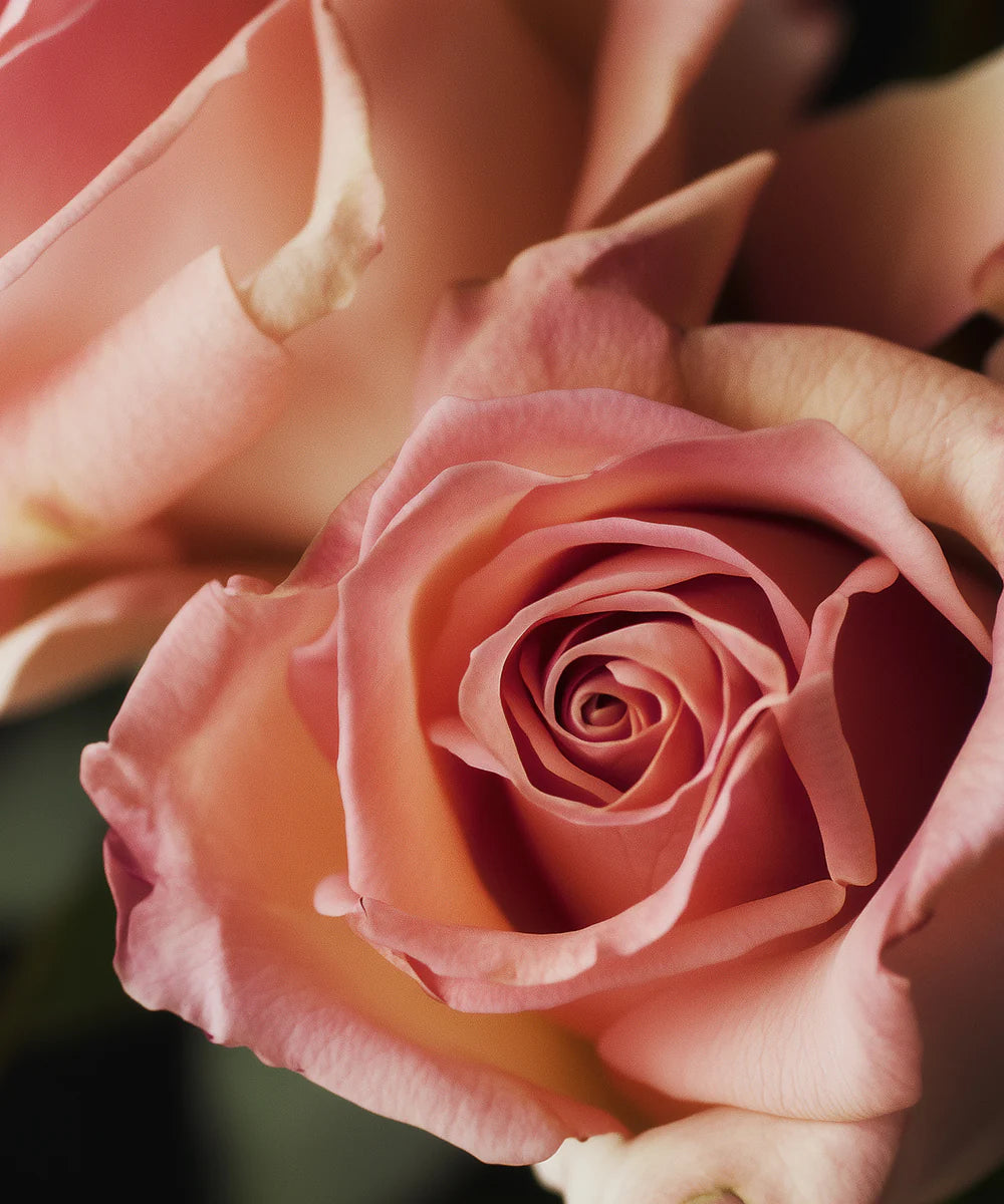 Atelier Rebul | N°4 Elixir Artisanal – Extrait de parfum 100 ml