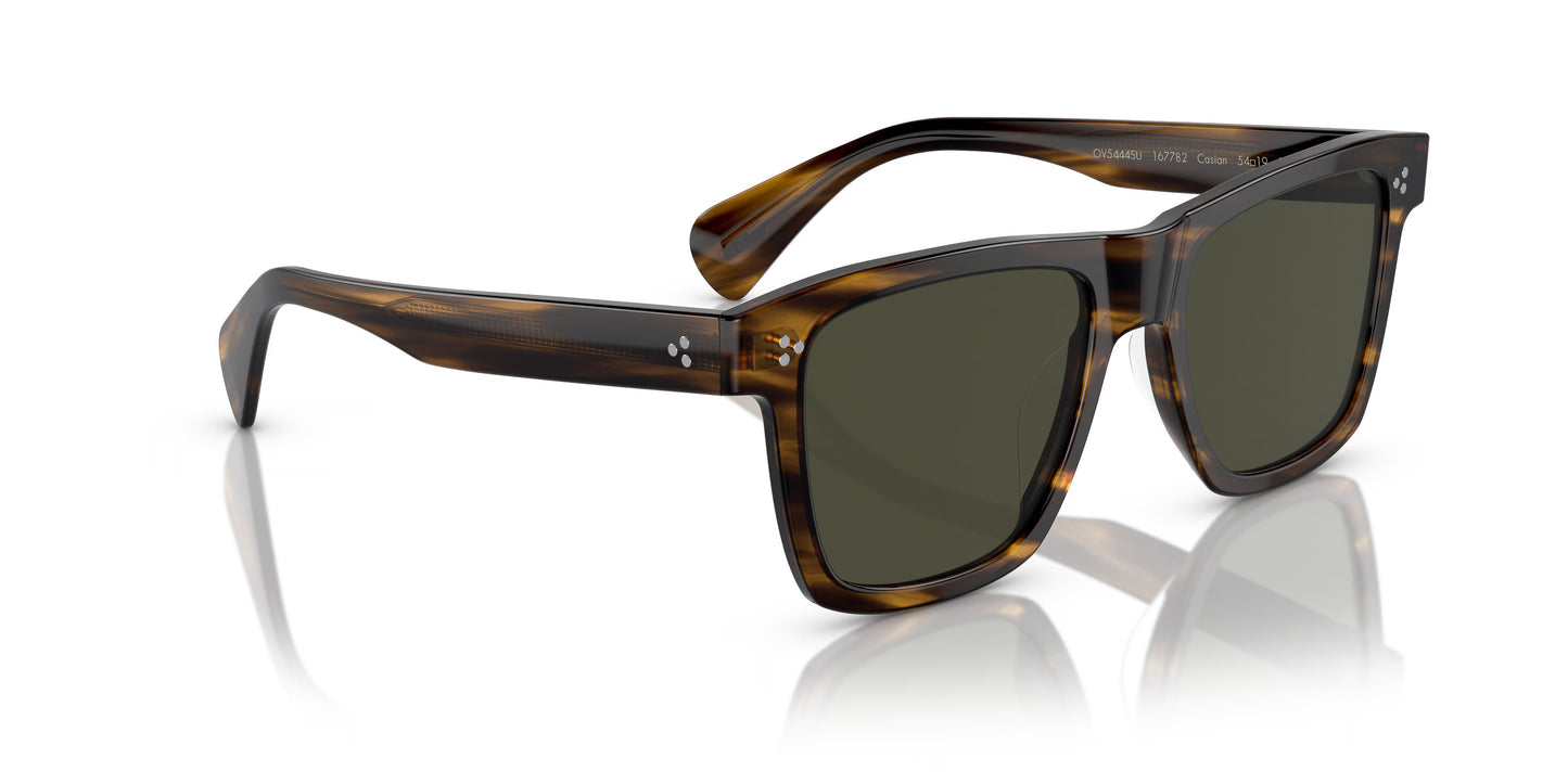 Oliver Peoples - Casian Oversized Rectangular Sunglasses - Tortoise, Brown