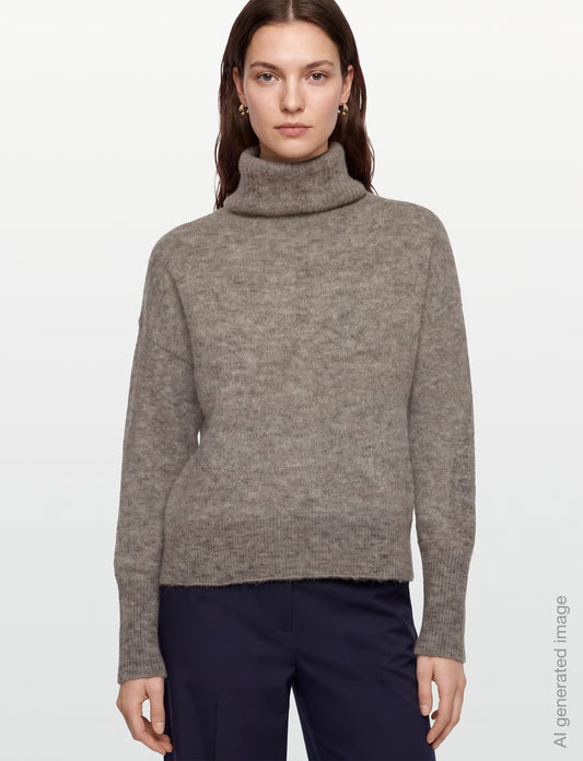 Tiger of Sweden | Pull à col roulé 'Paxi' | Gris Beige