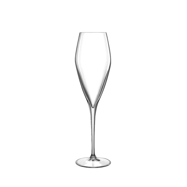 Luigi Bormioli - Atelier Champagne Glass- set de 6 verres