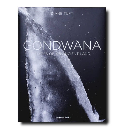 Livre Gondwana - Assouline