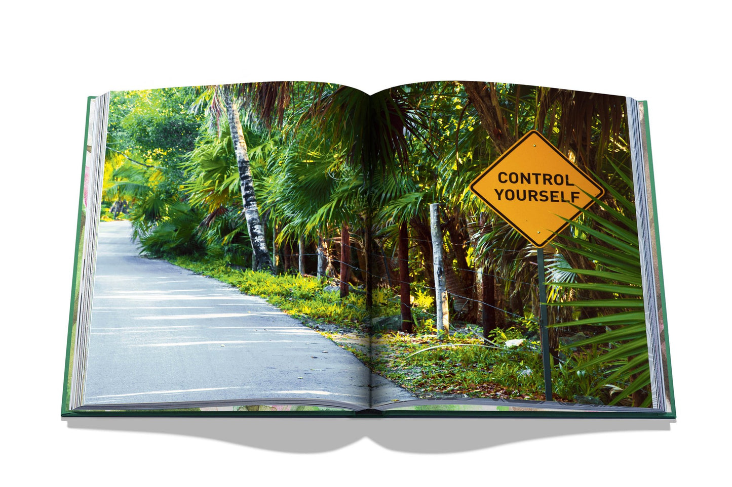 Livre Tulum Gypset | Assouline