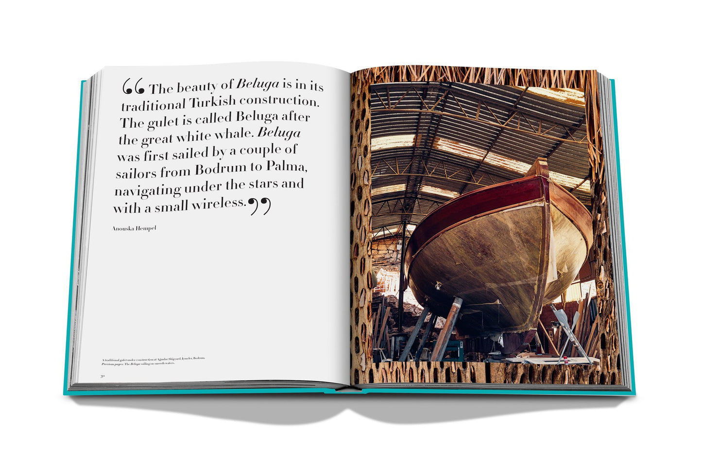 Livre Turquoise Coast | Assouline