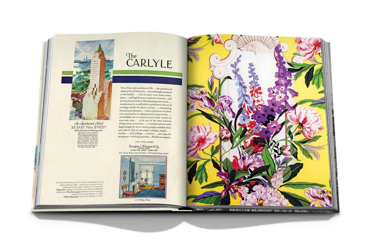 Book The Carlyle - Assouline